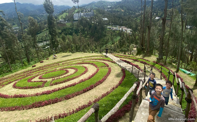 eastjava fields