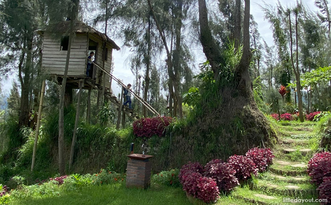 eastjava treehouse