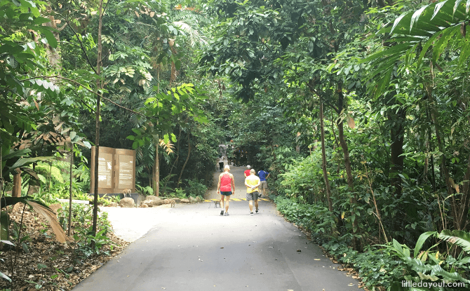 Bukit Timah Nature Reserve