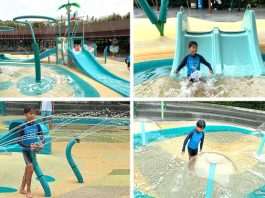 Egg Splash: Bird Paradise's Water Playground Reopens