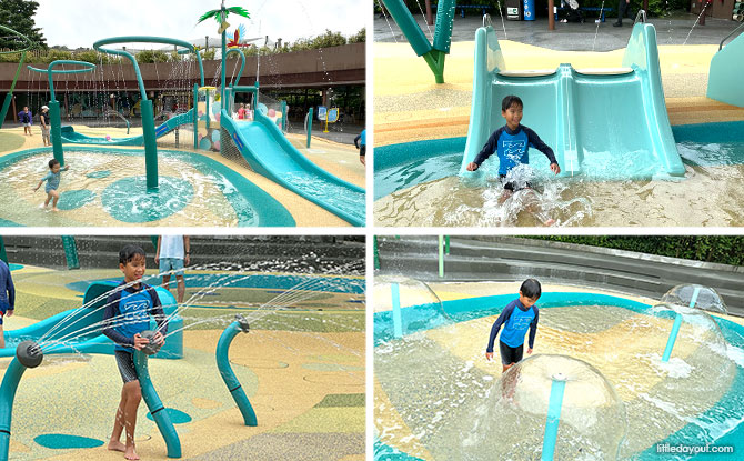 Egg Splash: Bird Paradise's Water Playground Reopens