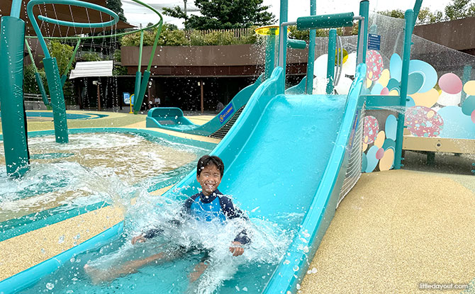 Egg Splash: Bird Paradise's Water Playground Reopens