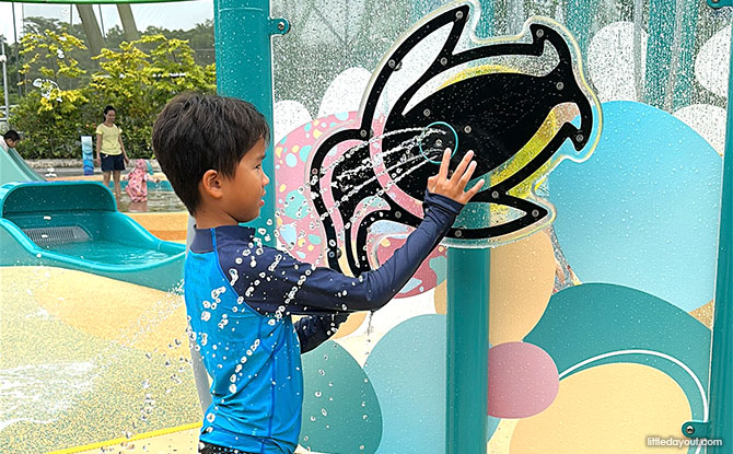 Water play at Bird Paradise