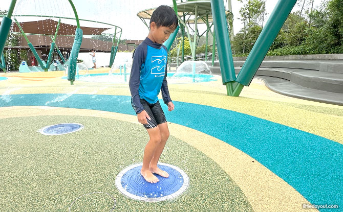 More Water Play for All Ages at Bird Paradise's Water Playground