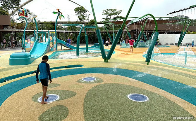 Bird Paradise's Water Play Area: Egg Splash