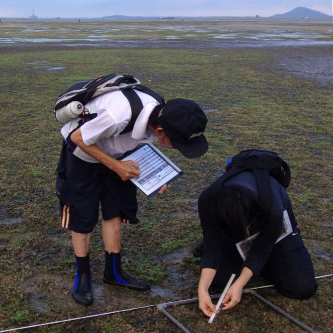 Team Seagrass - Nature Community Groups