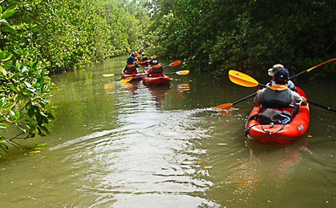 Nature Society (Singapore)