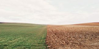 Earth Overshoot Day: What Is It And How Do We #MoveTheDate