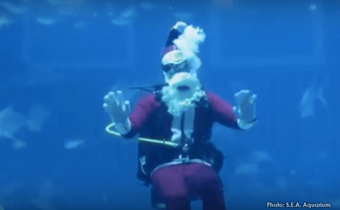 S.E.A Aquarium Christmas