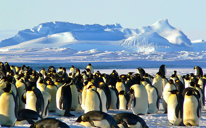 More Interesting Antarctica Facts