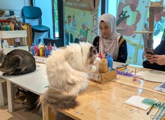 Wildflower Studio: Art Jam With Cats