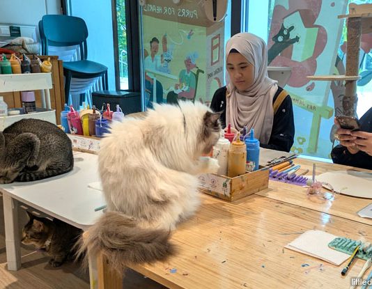 Wildflower Studio: Art Jam With Cats