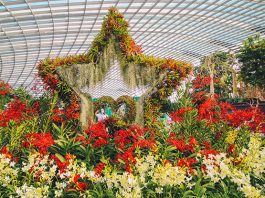 Gardens By The Bay National Day 2020 Promotion: Enjoy Up To 6 Months Of Unlimited Visits With A One-Day Singapore Resident Ticket