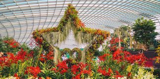Gardens By The Bay National Day 2020 Promotion: Enjoy Up To 6 Months Of Unlimited Visits With A One-Day Singapore Resident Ticket