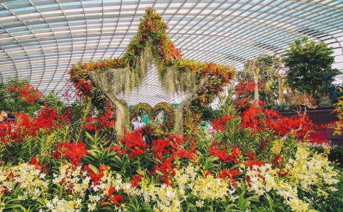 Gardens By The Bay National Day 2020 Promotion: Enjoy Up To 6 Months Of Unlimited Visits With A One-Day Singapore Resident Ticket