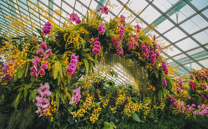 Gardens By The Bay National Day 2020 Promotion