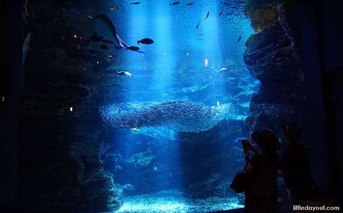 Kyoto Aquarium