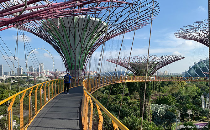 OCBC Skyway - Suspension bridges in Singapore