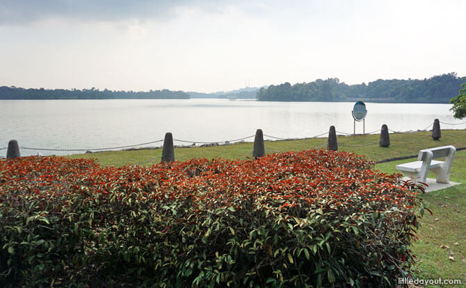 View from Upper Peirce Reservoir Park