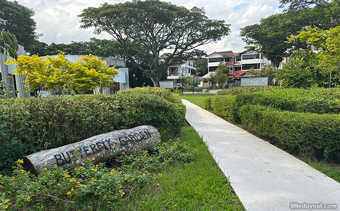 Butterfly Garden