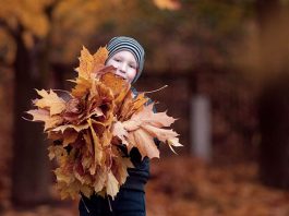 90 Funny Fall Jokes To Fill Your Autumn With Laughter