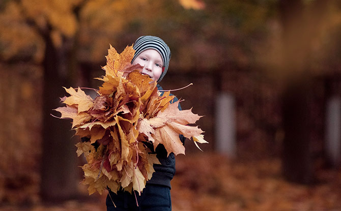 90 Funny Fall Jokes To Fill Your Autumn With Laughter