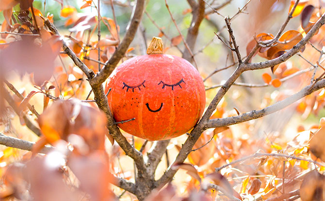 Autumn Jokes & Puns to Crack You Up