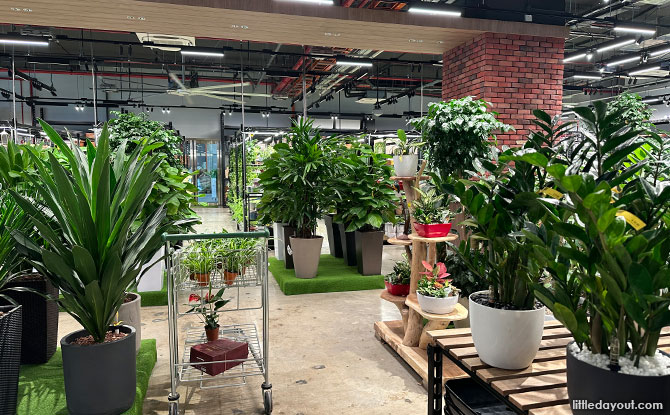 Plants at Far East Flora HQ
