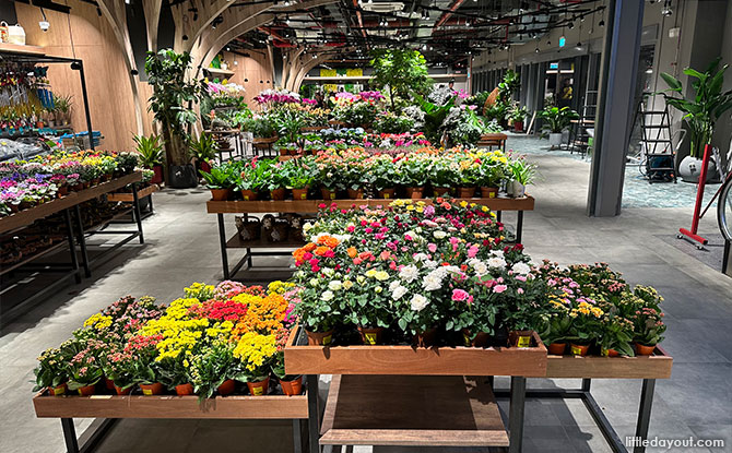 Far East Flora HQ At Clementi Road: A Plant Paradise - Little Day Out