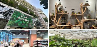 Far East Flora HQ At Clementi Road: Plant Paradise
