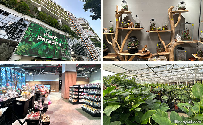 Far East Flora HQ At Clementi Road: Plant Paradise