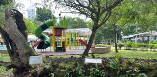 Firefly Park: Playgrounds & Green Space for All