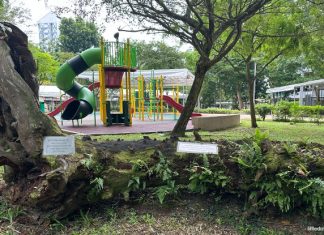 Firefly Park: Playgrounds & Green Space for All Firefly Park: Playgrounds & Green Space for All
