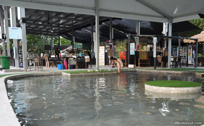 Prawning Places In Singapore: Where To Go To Catch Prawns 1 fishing woodleigh 03