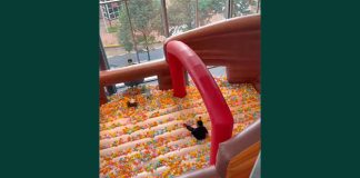 Fleawhere Air Park At Suntec: Giant Bumboat Bouncy Castle Outside The Weekend Flea Market