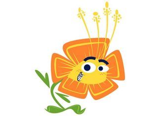 81 Funny Flower Jokes For A Blooming Good Laugh 81 Funny Flower Jokes For A Blooming Good Laugh