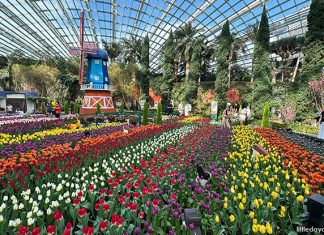 Gardens by the Bay Flower Dome: 9 Gardens That’ll Take You Around the World Gardens by the Bay Flower Dome: 9 Gardens That'll Take You Around the World