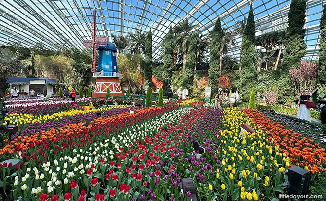 Gardens by the Bay Flower Dome: 9 Gardens That'll Take You Around the World