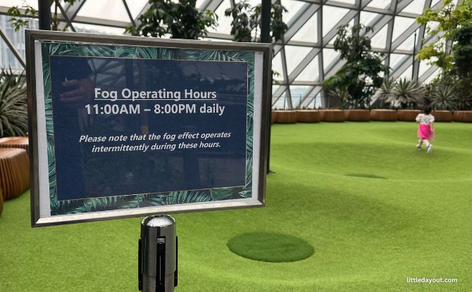 Canopy Park Jewel Changi Airport Guide: 9 Attractions & Sights 9 Fog operation hours at Canopy Park's Foggy Bowls