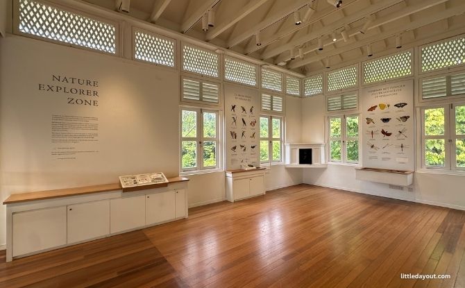 Forest Discovery Centre: Learning About Singapore's Biodiversity 4 Nature Explorer Zone