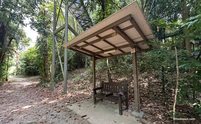 Forest Walk, Alexandra Arch, And The REAL Forest Walk 12 sheltered rest areas