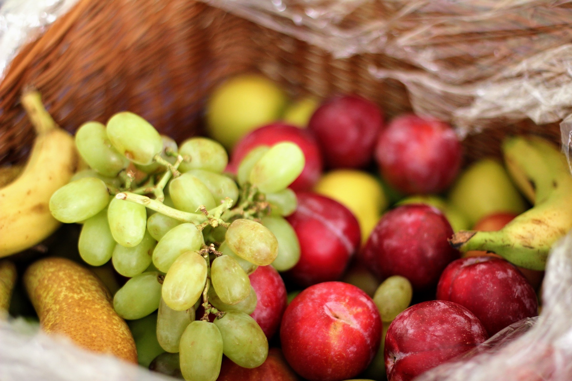 Fruit Basket