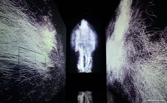 Dissipative Figures
