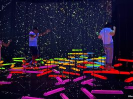 Future World At ArtScience Museum Reopens