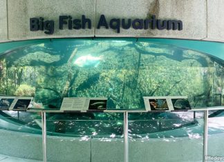 Little Stories: Big Fish Aquarium At Gardens By The Bay Little Stories: Big Fish Aquarium At Gardens By The Bay