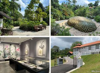 Gallop Extension, Singapore Botanic Gardens Guide: 7 Things To See & Do Gallop Extension, Singapore Botanic Gardens Guide: 7 Things To See & Do
