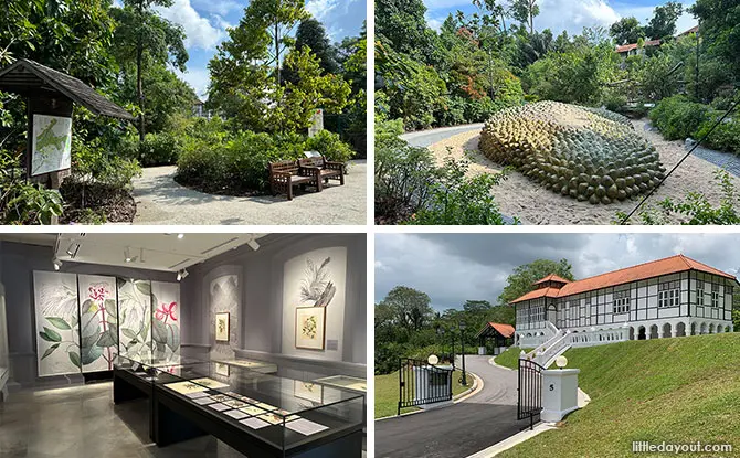Gallop Extension, Singapore Botanic Gardens Guide: 7 Things To See & Do