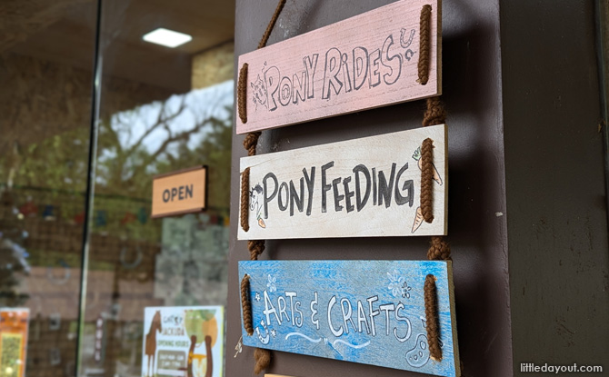 Arts & Craft Activities