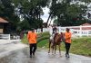 Gallop Stable In Sembawang: Family-Friendly, Horsey Fun Horse Riding In Singapore: Where To Interact With Horses