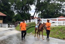 Gallop.sg @ Sembawang: Family-friendly Horsey Fun Gallop.sg @ Sembawang: Family-friendly Horsey Fun